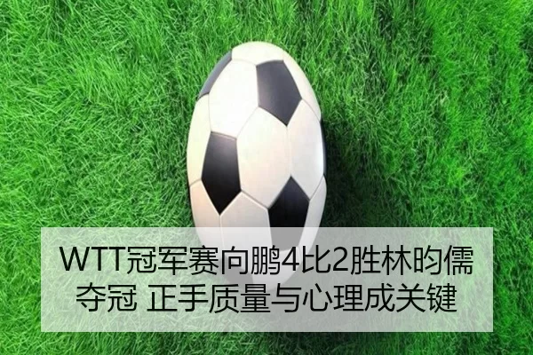 guan-jun-sai-xiang-peng-bi-sheng-lin-yun-ru-duo-guan-zheng-shou-zhi-liang-yu-xin-li-cheng-guan-jian-2-286.jpg